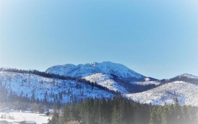 Sentymentalne Kościelisko Apartament & SPA