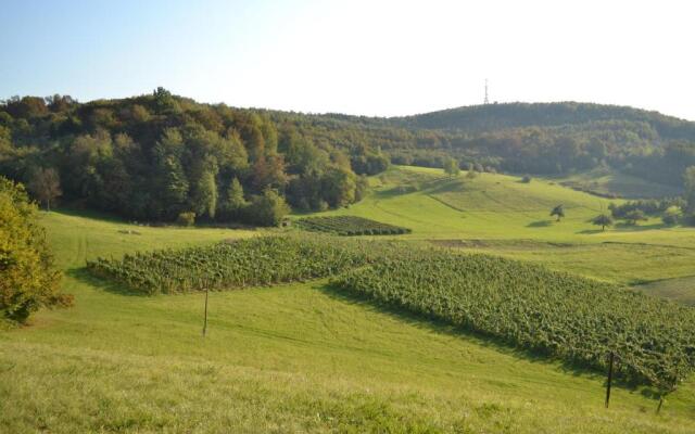 Bosnian Country House Visoko
