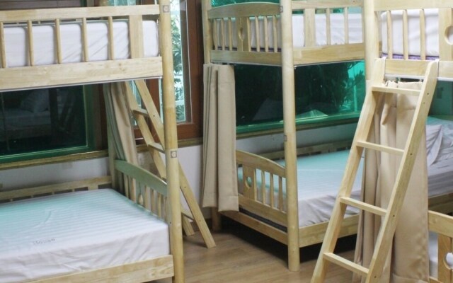 House 479 - Hostel
