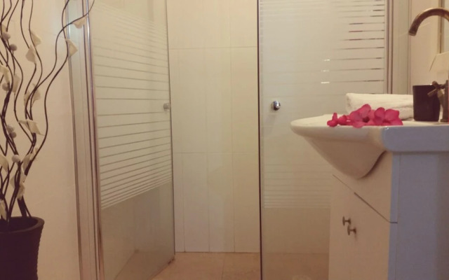 Zimmer Dora Dead Sea