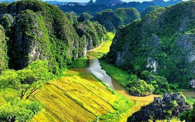 Tam Coc Rice Fields Homestay