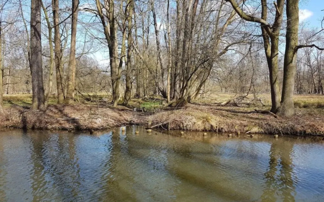 Holiday Home Kupa Comfortable Vacation Home