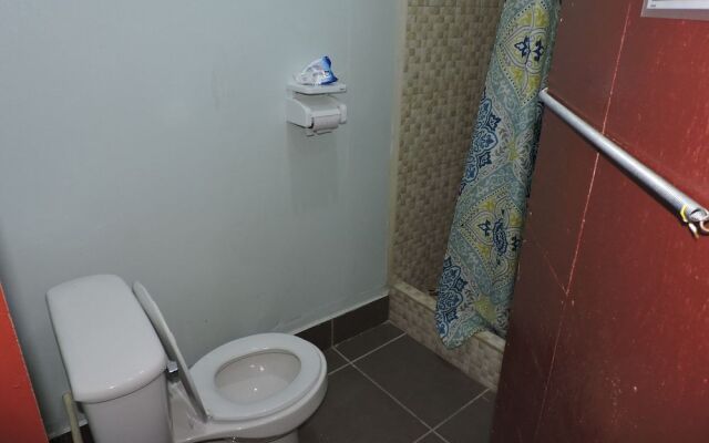 Wild Panther's Guest House & Hostel