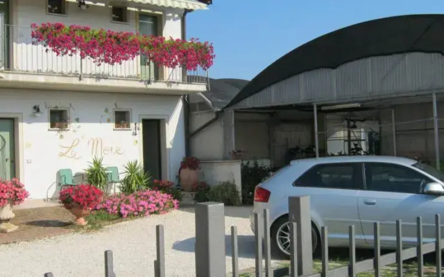 Agriturismo Le Moie 2