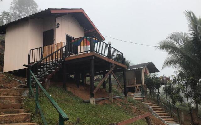 Forest Guesthouse