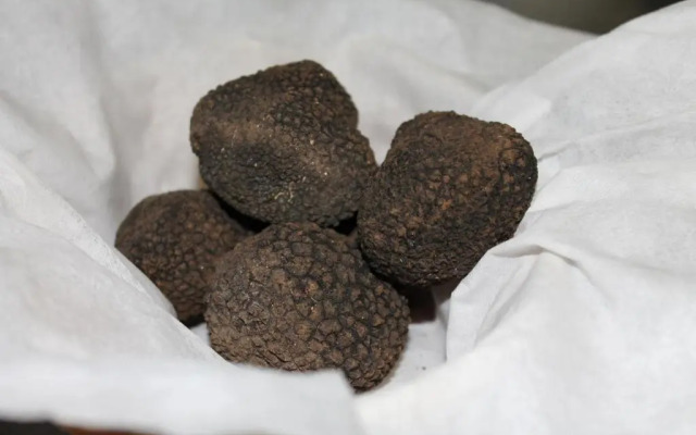 Logis Hotels  Auberge De La Tour   Hôtel Et Restaurant