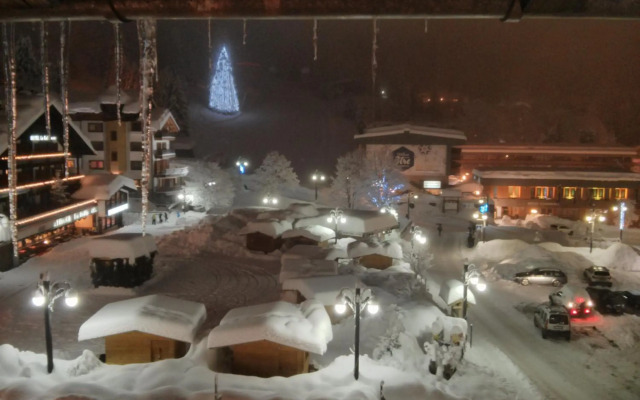 Hotel Arnica