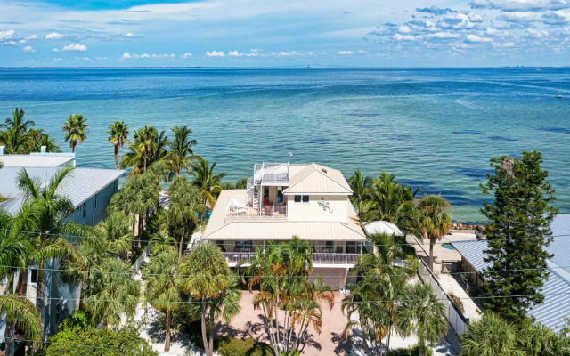 Dolphin Tales - 836 S Bay
