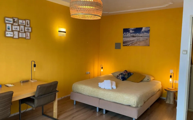 Plato by Hofstad Studios