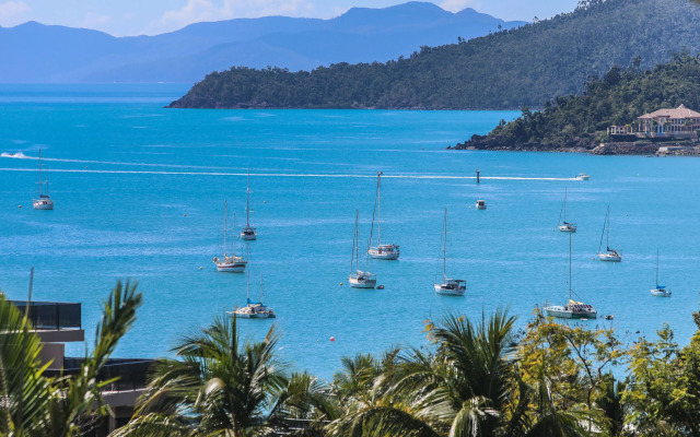 Whitsunday Organic Bed & Breakfast