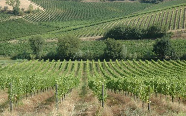Agriturismo Musignano