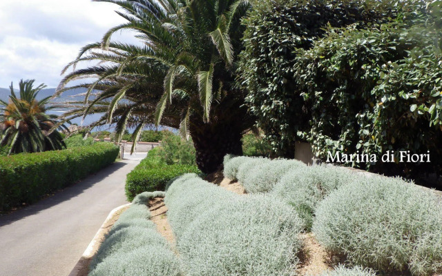 Marina di Fiori