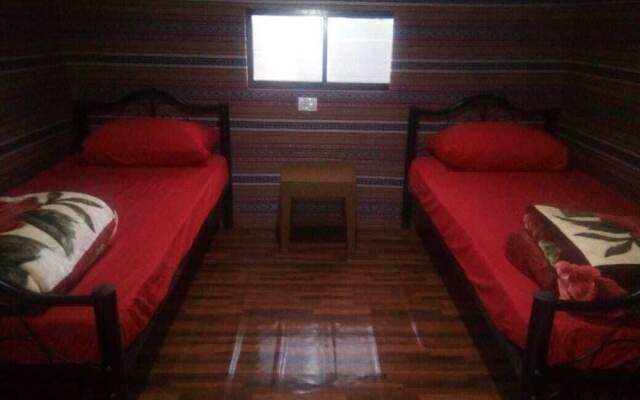 Alamer Hostel Camp