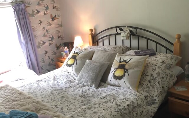 Forest view Bed and Breakfast