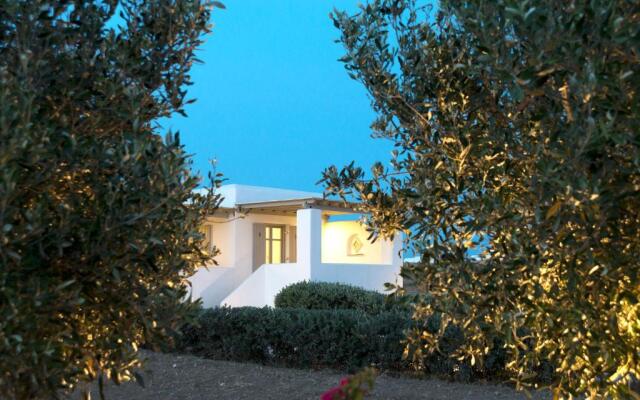 Golden Sand Paros