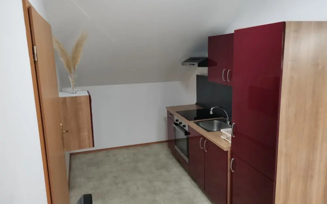 Apartmaji bungalovi i sotorisce Silva