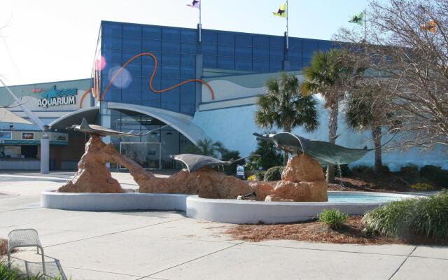 Hampton Inn Myrtle Beach-West