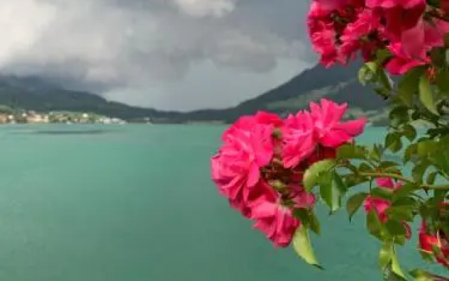 Hotel - Restaurant Eierhals Am Agerisee