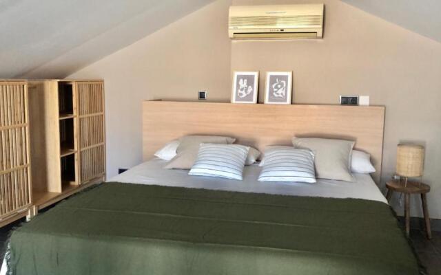 Homing Cambrils 10