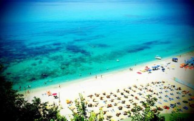 Hortis Tropea