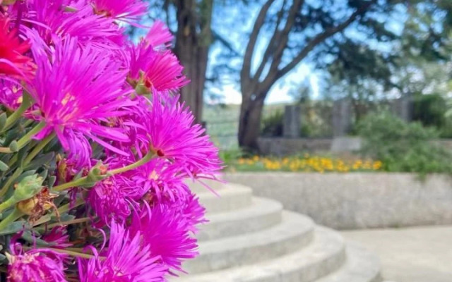 Private Douro- Quinta das Susandas