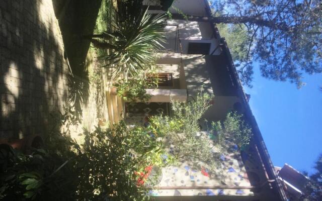 Miro Villa