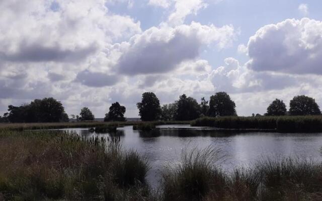 Drentse bungalow in natuur en rust
