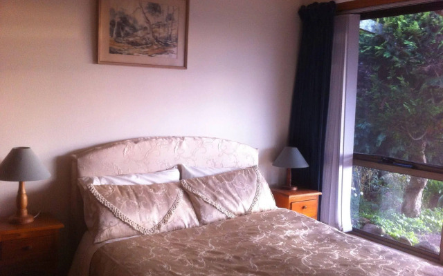 Blueberry B & B