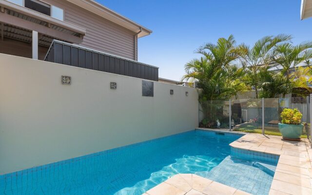 Casuarina Dreaming