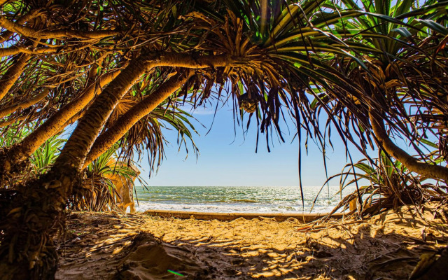 Phan Thiet BeachHouse