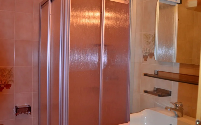 Pet-friendly Mountain Home