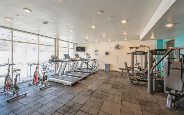 Minneapolis | Campus Studio U of M Apartment