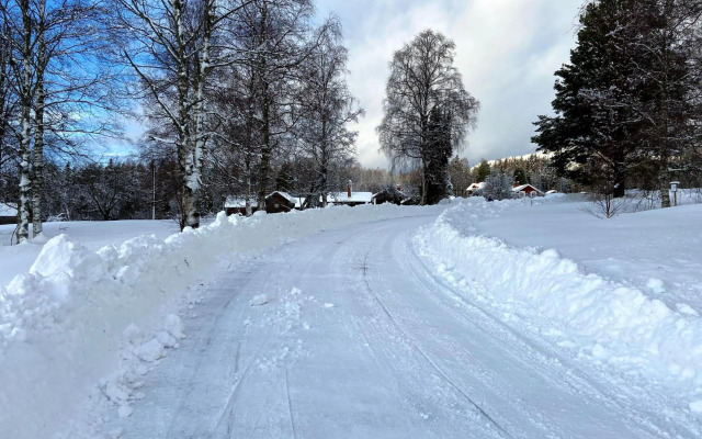 Beautiful 4-5 Persons Cottage in Alvdalen