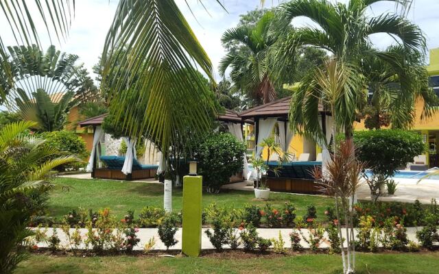 The Oasis Resort - All Inclusive