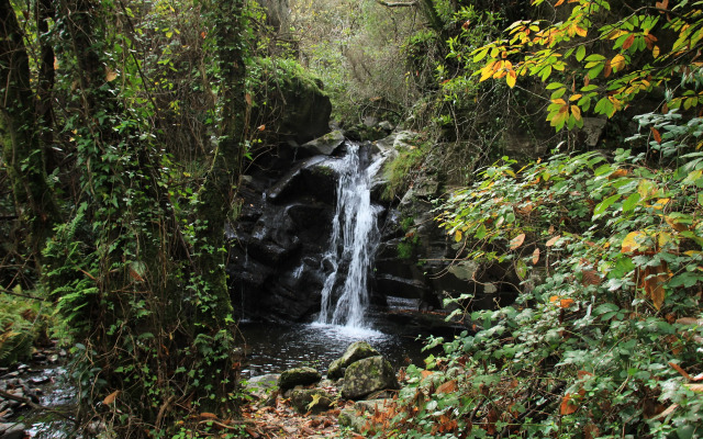 Residencial Martinho