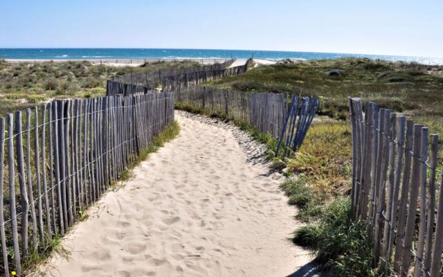 Rose Des Sables 20684