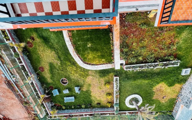 Purple Orchid By Xacro Xperiences