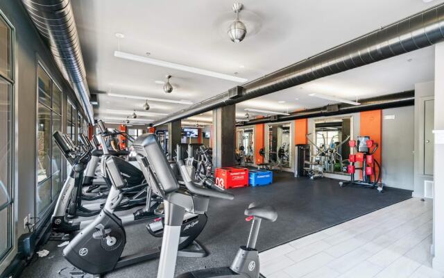 Plano Executive 1BD 1BA Apartment