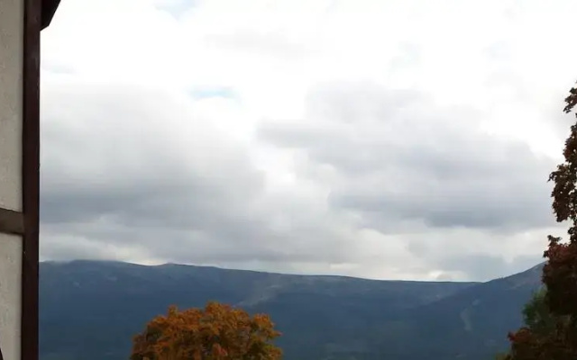 Morelowy