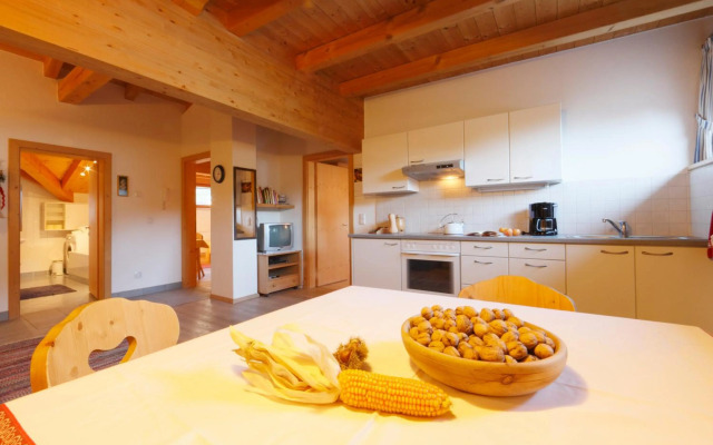 Chalet Appartement Zingerlehof Trens