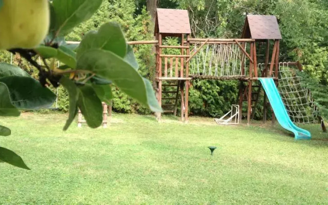 Lavender Szirák - фото 4