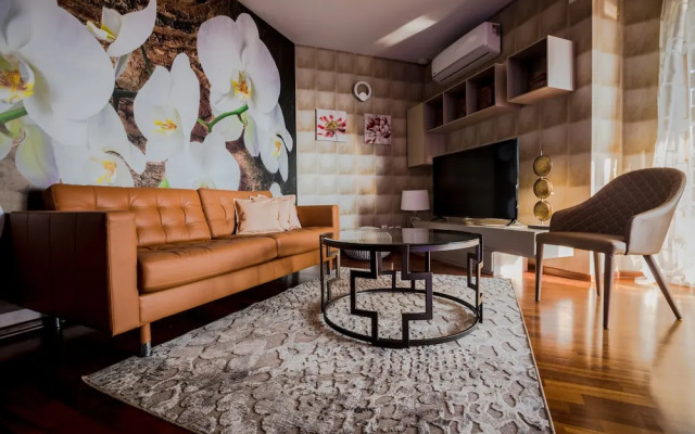 Wild Orchids of Bucharest