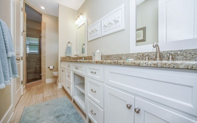 Palm Sundaze - 1606336