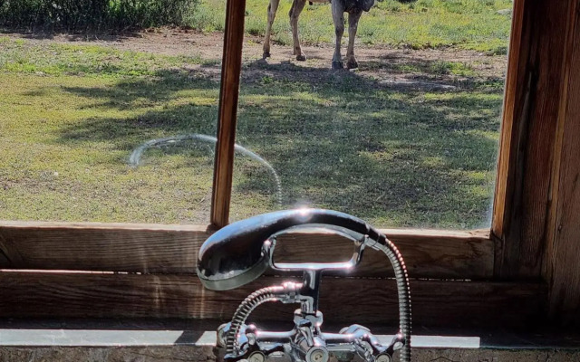 Sneeuberg Nature Reserve