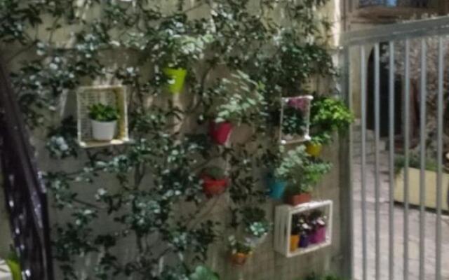 Le Camelie Bed And Breakfast