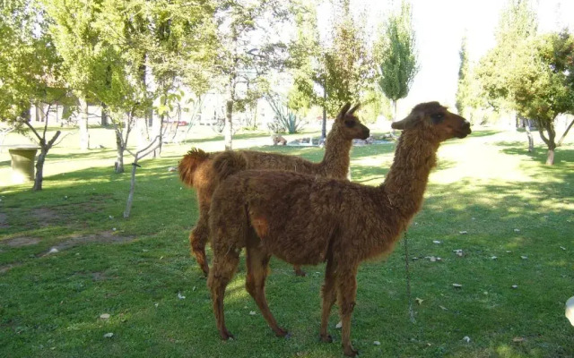 Posada Cacheuta