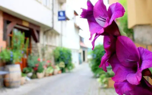 D & S Hotel Appartements