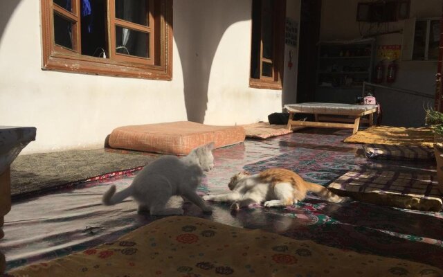 Kashgar Old Town Youth Hostel