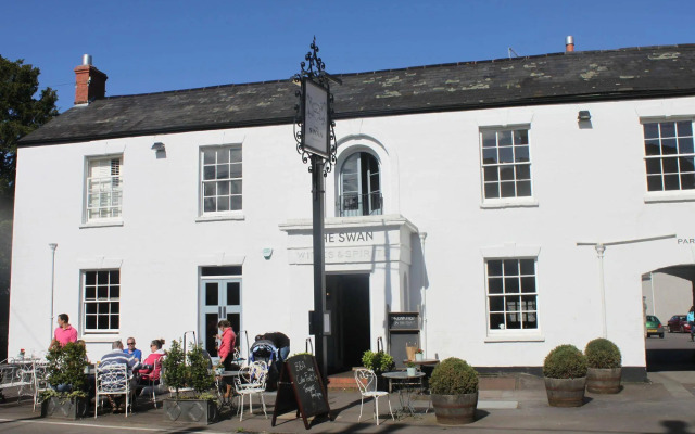 The Swan