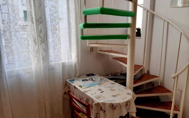 Rosmarinus Rubic studio